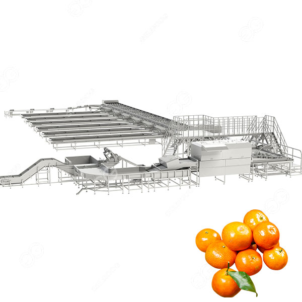 fruit grading equipment