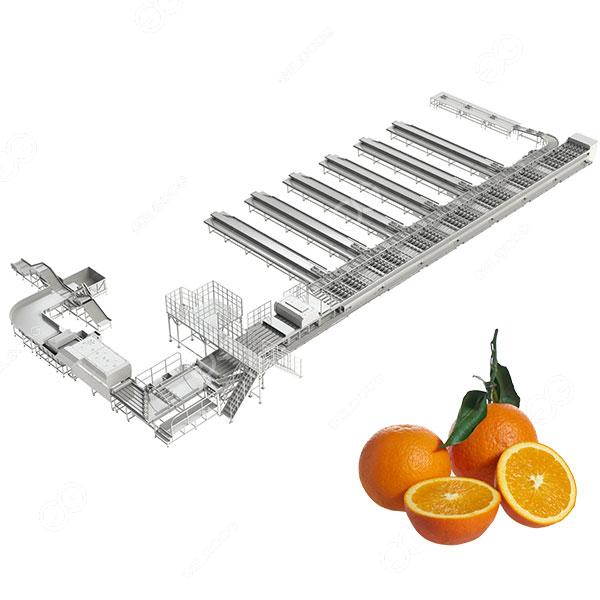 GELGOOG Citrus Grading Equipment Line for Factory