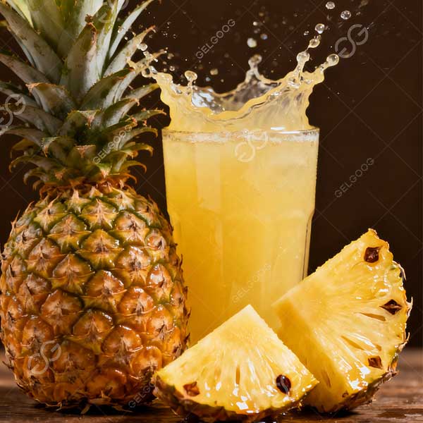 Does Pasteurization Destroy Bromelain in Pineapple Juice?