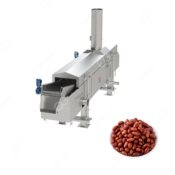 continuous fryer machine