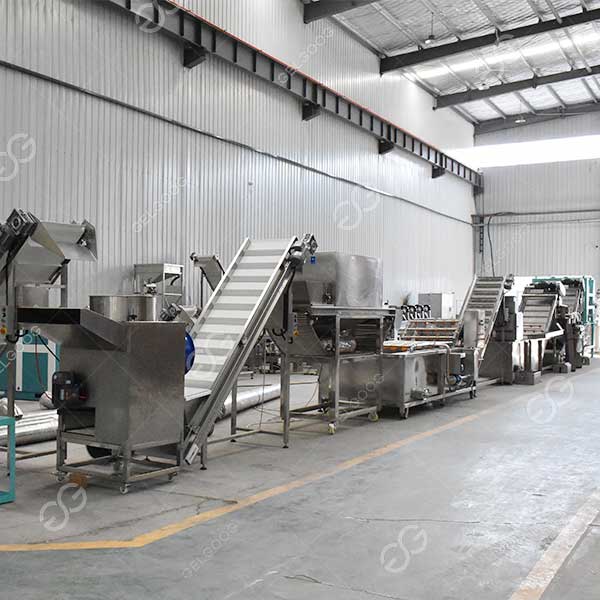 Argentina Customer Bought 3 Lines for Garlic Processing