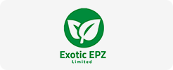 Exotic Epz