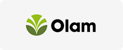 Olam