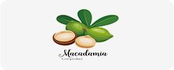 Macadamia