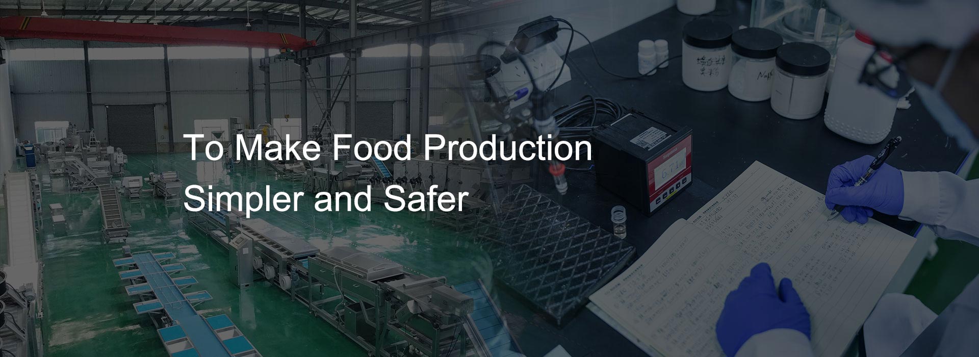 Fruit and Vegetable Washing and Drying Line