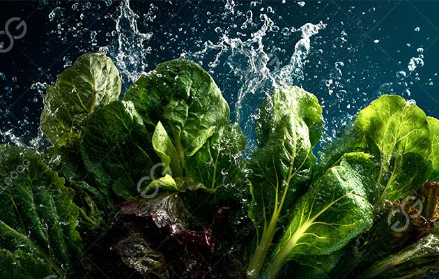 How to Wash Vegetables, Which Machines are needed?