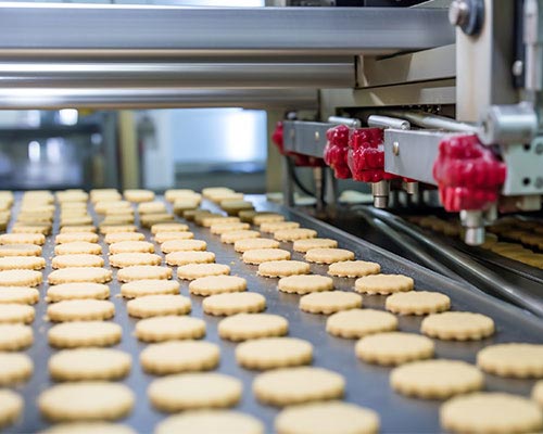 Biscuit Processing