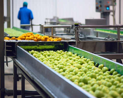 Fruit and Vegetables Processing