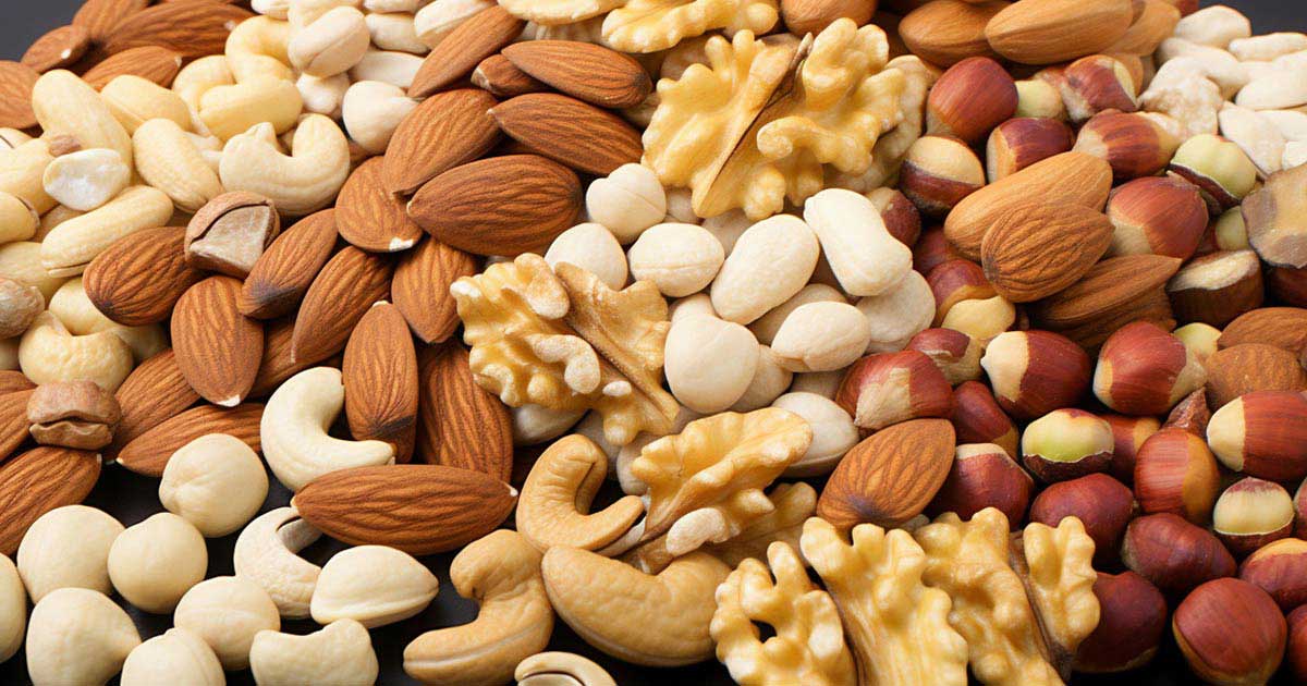 Nuts Processing Solution