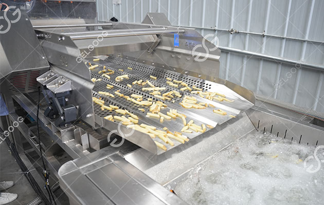 French Fries Production Process