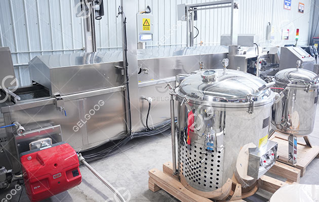 French Fries Production Line Manufacturer