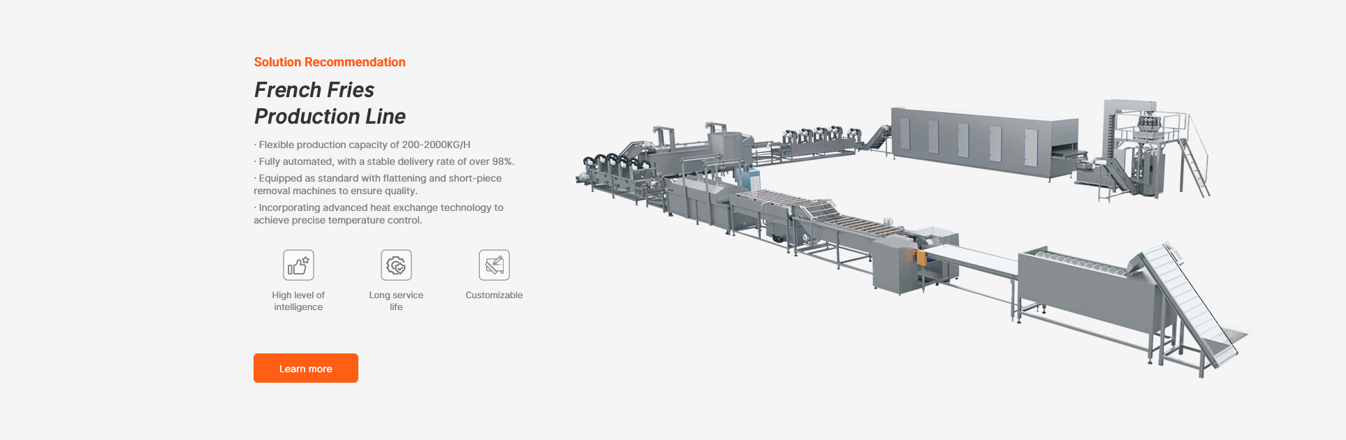 French Fries Production Line