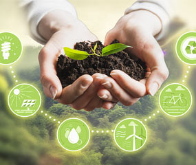 Sustainable Development