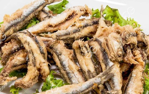 Machine for Anchovies Frying