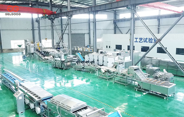 GELGOOG at Agroprodmash 2026