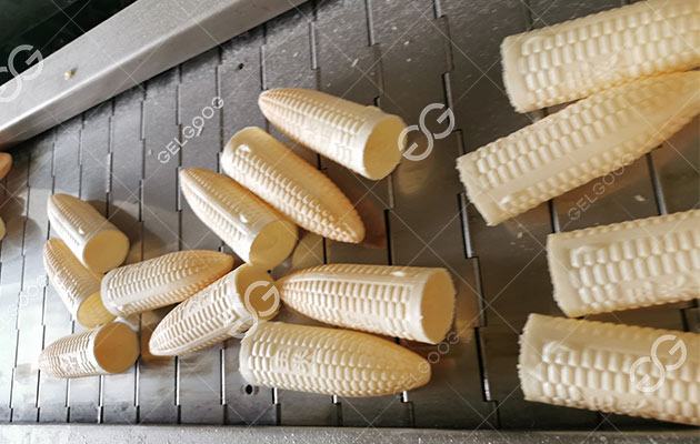 Russia Wafer Cone Manufacturing Project