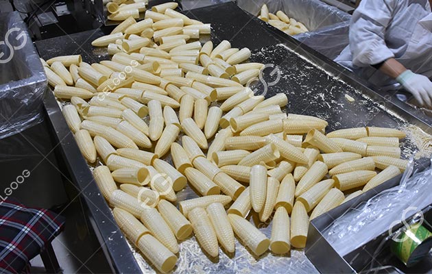 Wafer Cone Manufacturing Project