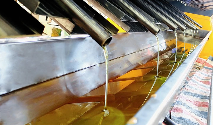 cocoa butter press machine