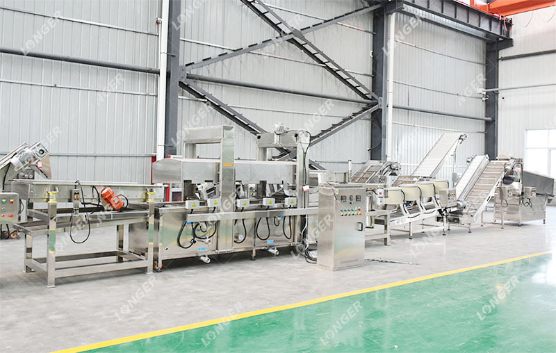 Innovational Continuous Frying Machine