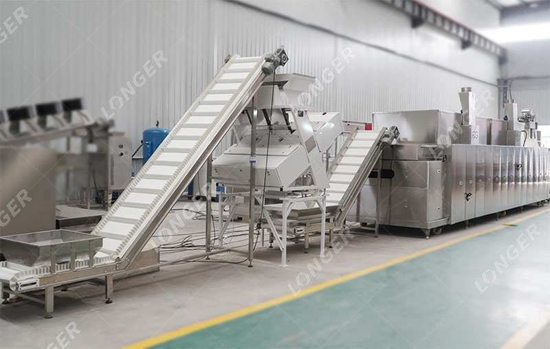 nuts roasting production line
