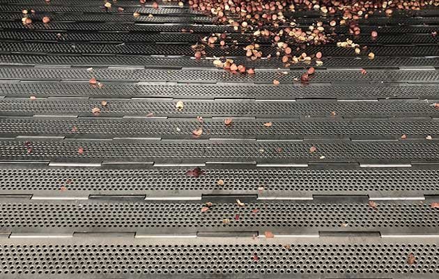 Advantages of Macadamia Nut Roaster.jpg