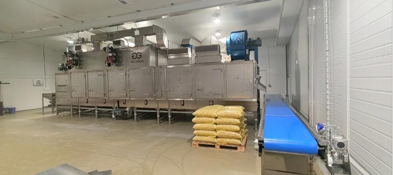 Macadamia nut roasting production line