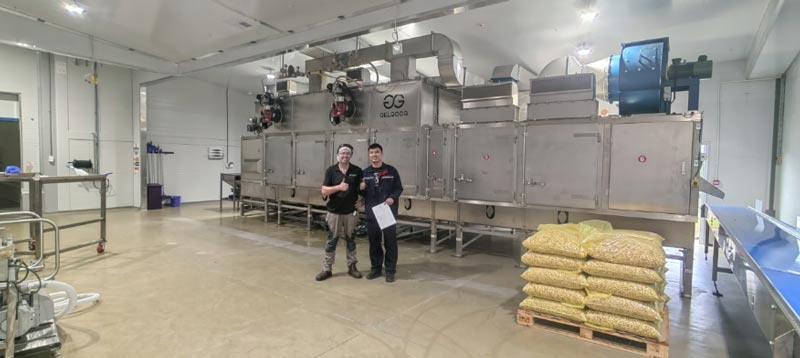 Macadamia nut roasting production line