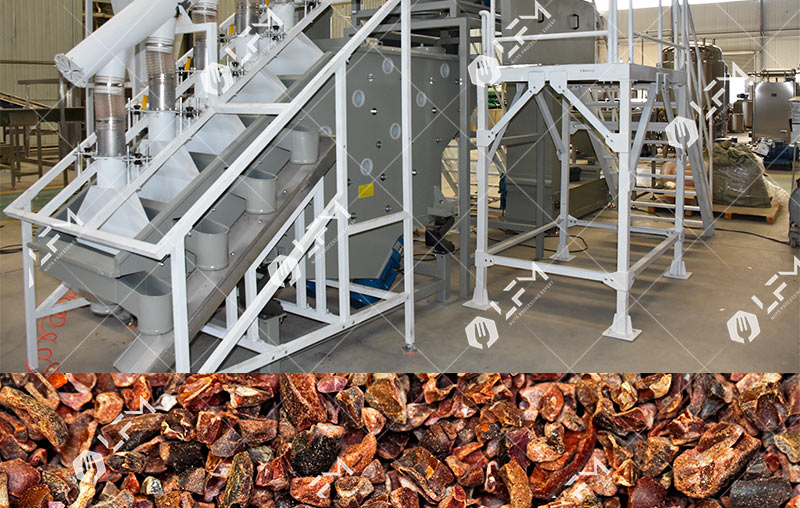 Descascarilladora de Cacao Industrial