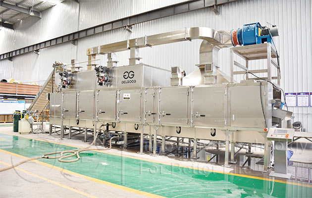 Macadamia Nut Roasting Production Line in South Africa
