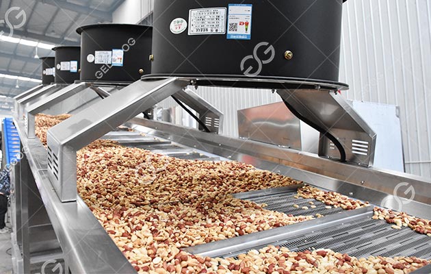 Peanut Roasting Machine