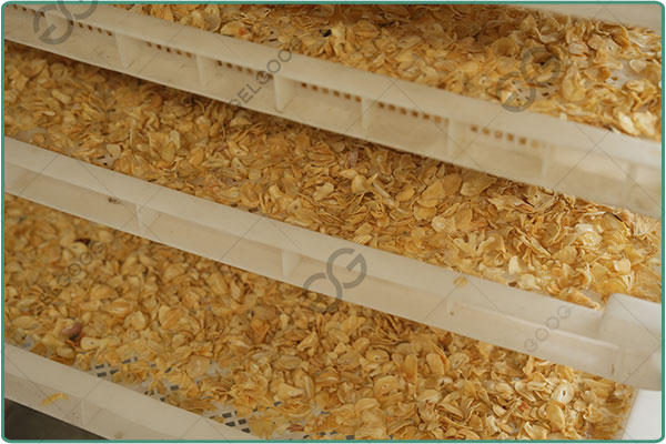 garlic drying