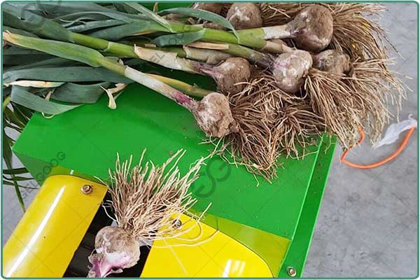garlic root cutting machine