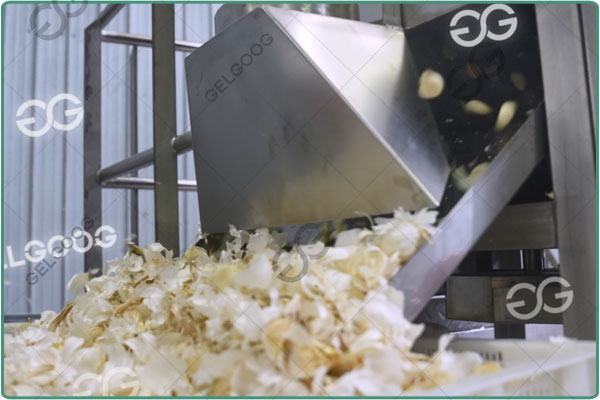 garlic bulb breaking machine