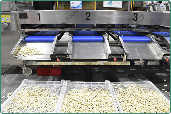 garlic sorting machine