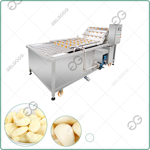 Bubble Garlic Cleaning Washing Machine for Factory Use	