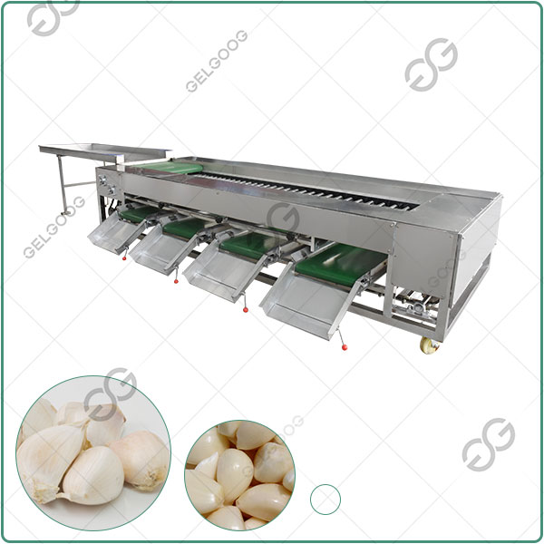 Size Sorting Automatic Garlic Grading Machine	