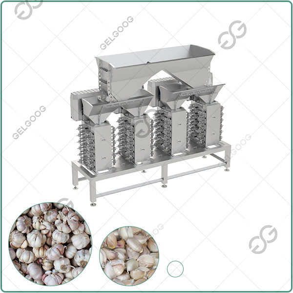 garlic clove separating machine