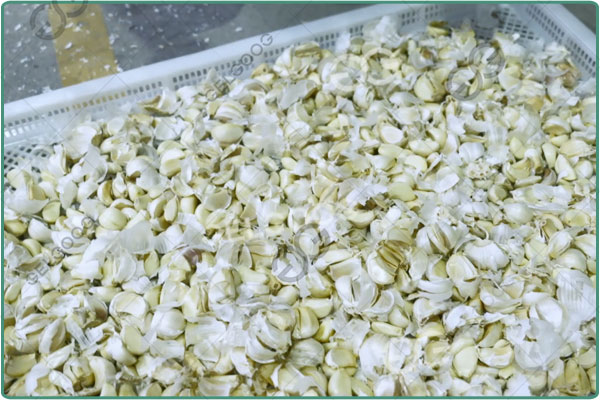 garlic separator