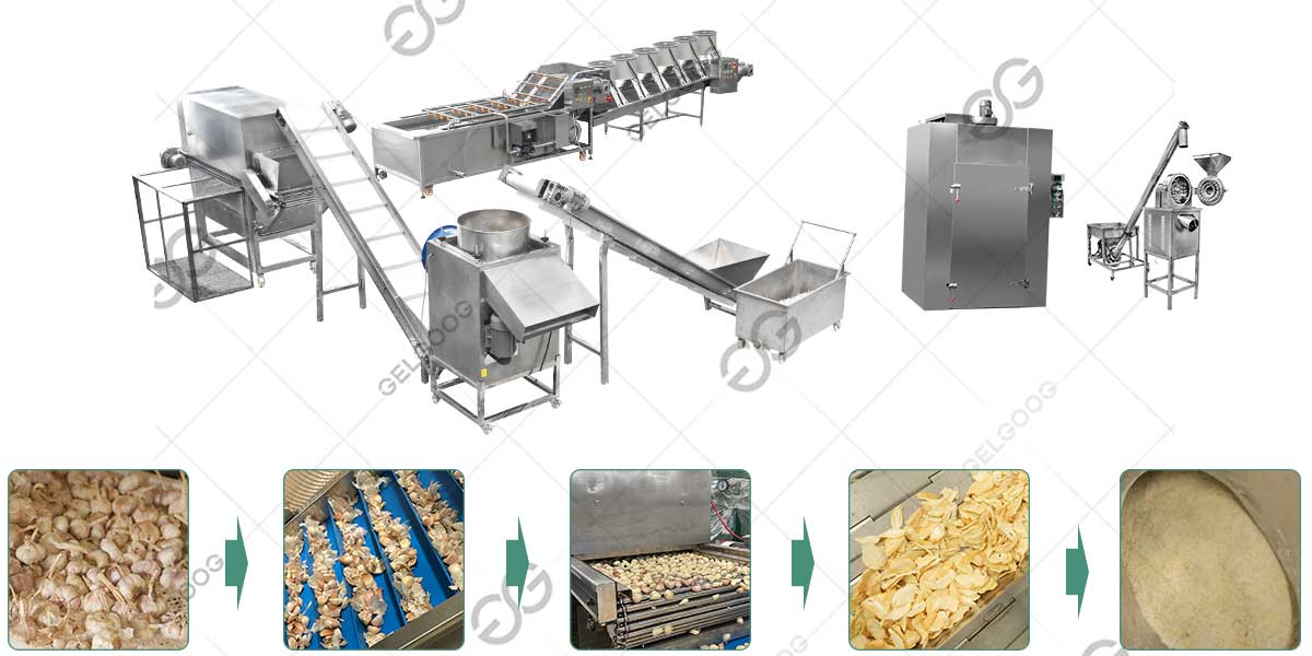 Garlic Powder Processing Plant Line High Capacity 500kg/h
