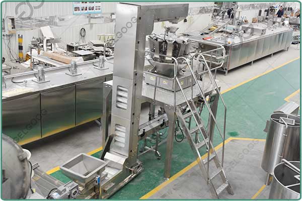 garlic filling machine