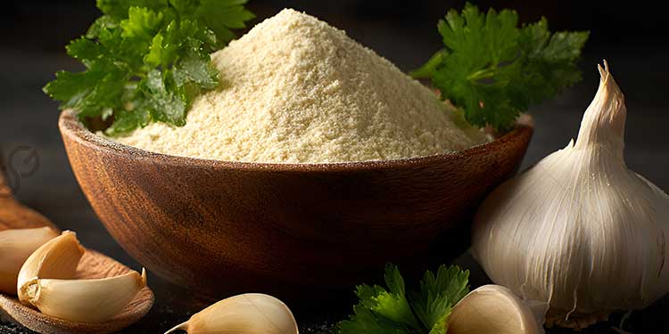 Introduction for Garlic Powder Making Process