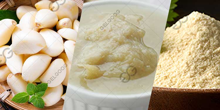 What Is The Manufacturing Process of Garlic?