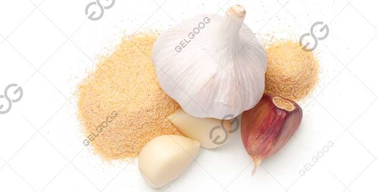 How to Make Garlic Powder Commercially?
