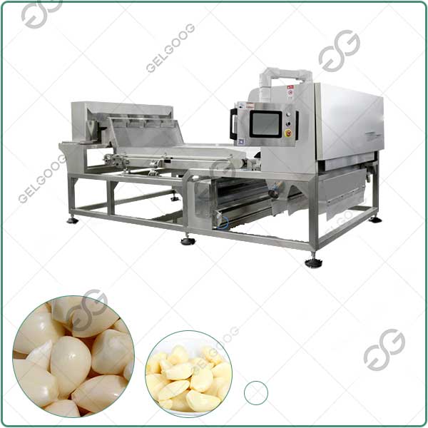 99% Sorting Accuracy Garlic Color Sorting Machine