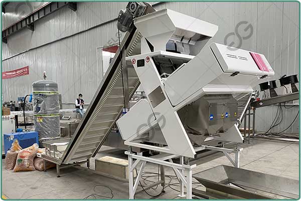 color sorter machine
