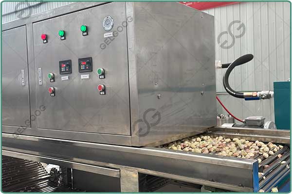 automatic garlic peeler