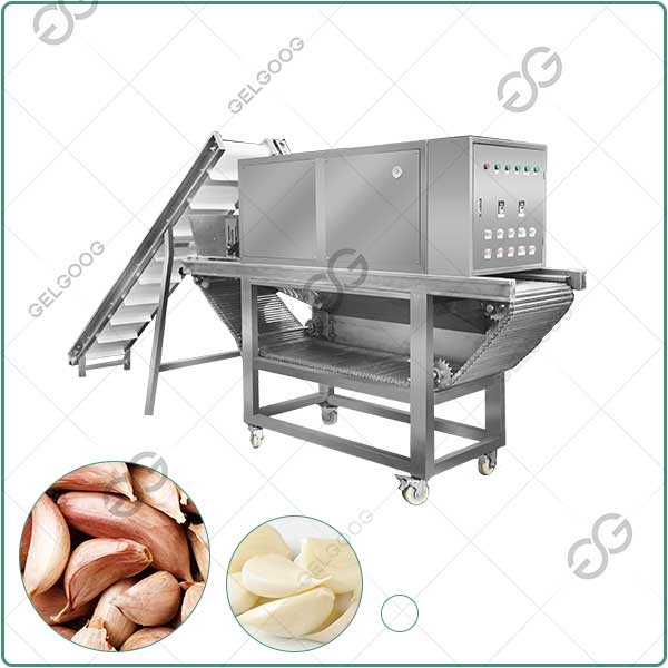 garlic peeling equipment