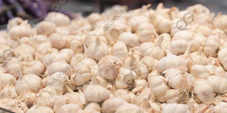 What Are The Methods of Processing Garlic?