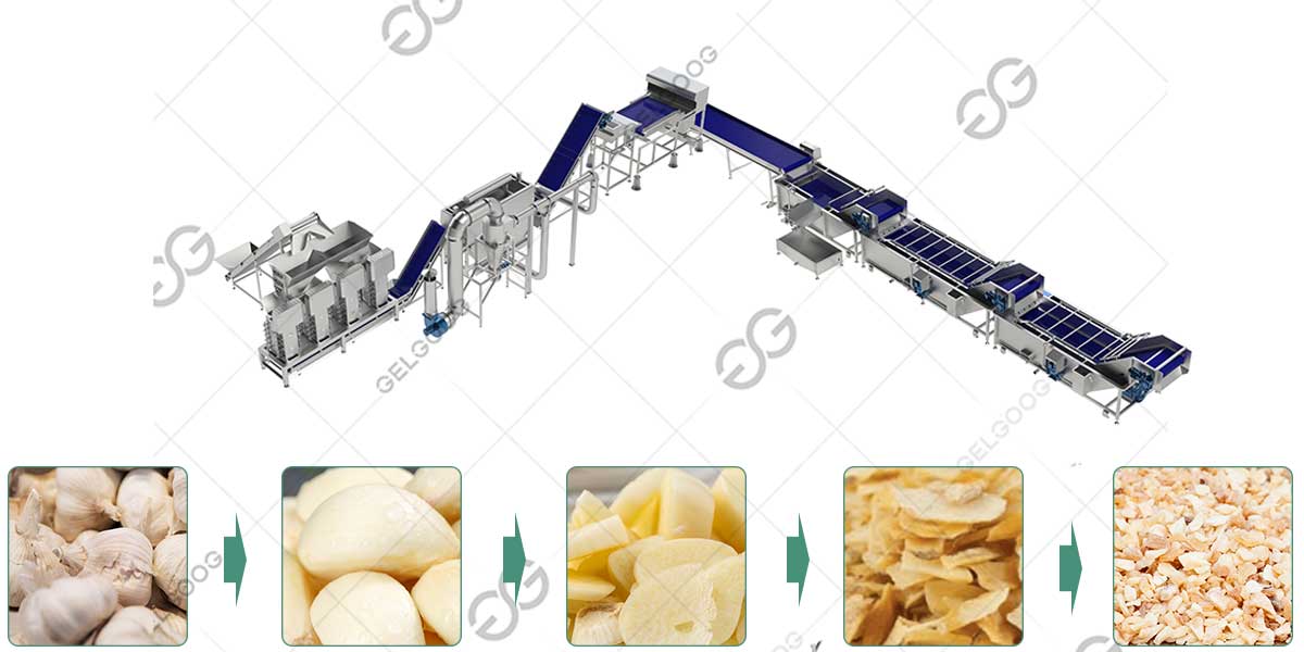 Dehydrated Minced & Chopped Garlic Machine	