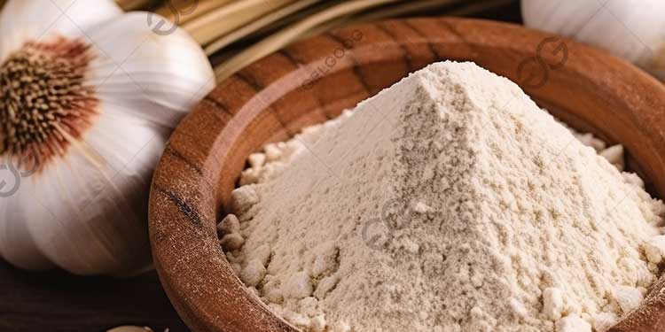 How Is Garlic Powder Manufactured?